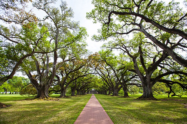 louisiana plantation 